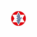 ארגון נכי צהל